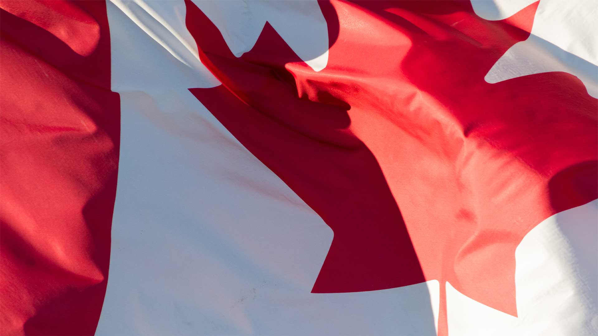 Déclaration du chef conservateur Pierre Poilievre à l’occasion de la Semaine de la PME